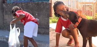 Com apenas 7 anos, menina cata latinhas para comprar ração para cães de rua