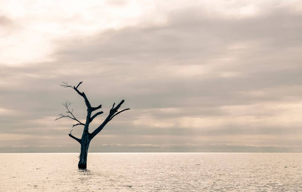 revistacarpediem.com - 8 Fotografias capazes de te relaxar após um dia estressante