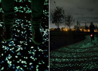Holanda cria ciclovia que brilha no escuro inspirada na arte de Van Gogh