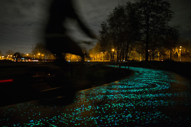 revistacarpediem.com - Holanda cria ciclovia que brilha no escuro inspirada na arte de Van Gogh