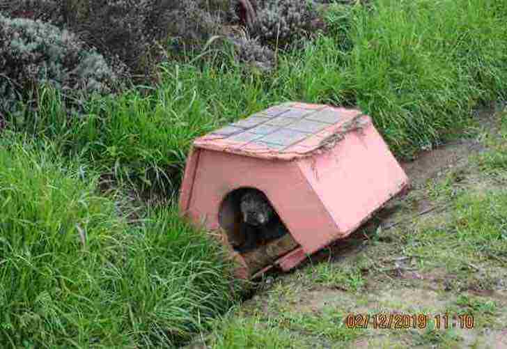 revistacarpediem.com - Eles a amarraram na casa dela e a deixaram na beira da estrada. Escondida do lado de dentro, ela esperou por ajuda