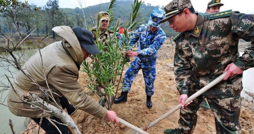 China convoca 60 mil soldados para plantar árvores