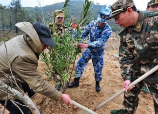 China convoca 60 mil soldados para plantar árvores