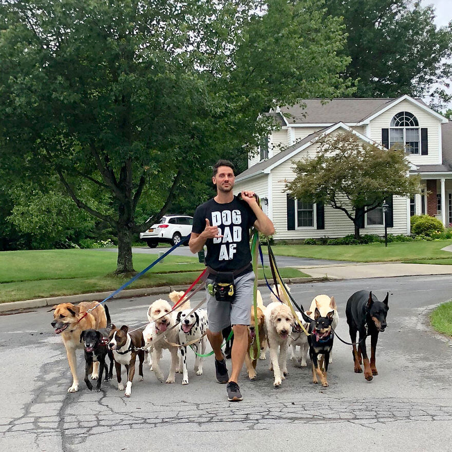 revistacarpediem.com - Esses cachorros caminham juntos e tiram uma foto juntos todos os dias