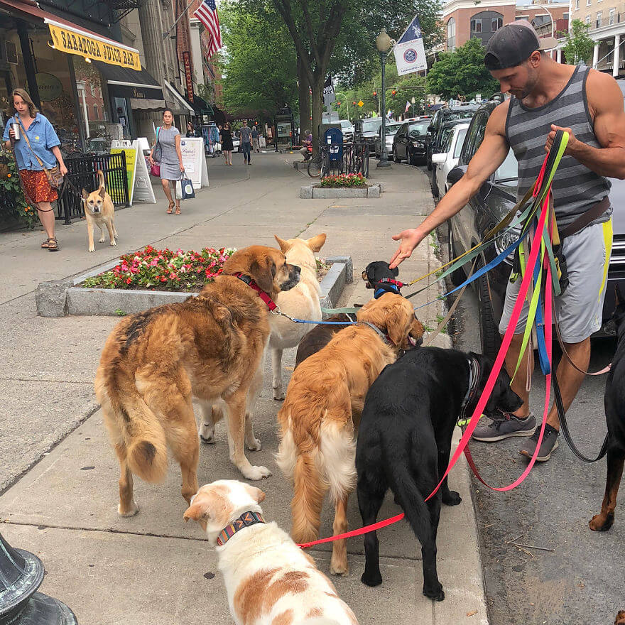 revistacarpediem.com - Esses cachorros caminham juntos e tiram uma foto juntos todos os dias