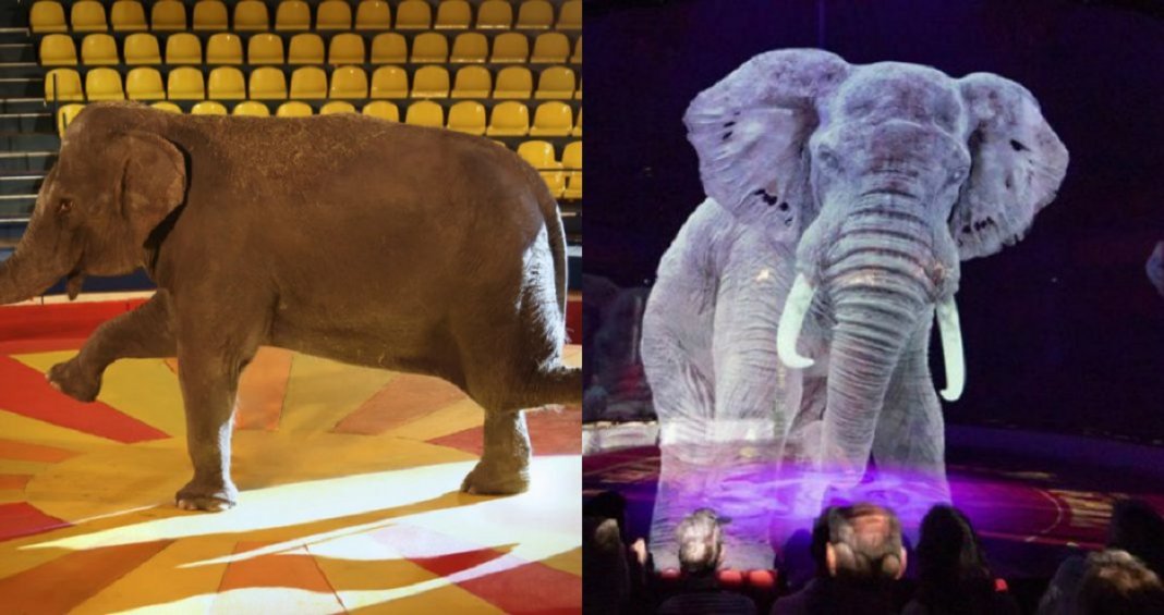 Circo alemão troca animais reais por hologramas fantásticos