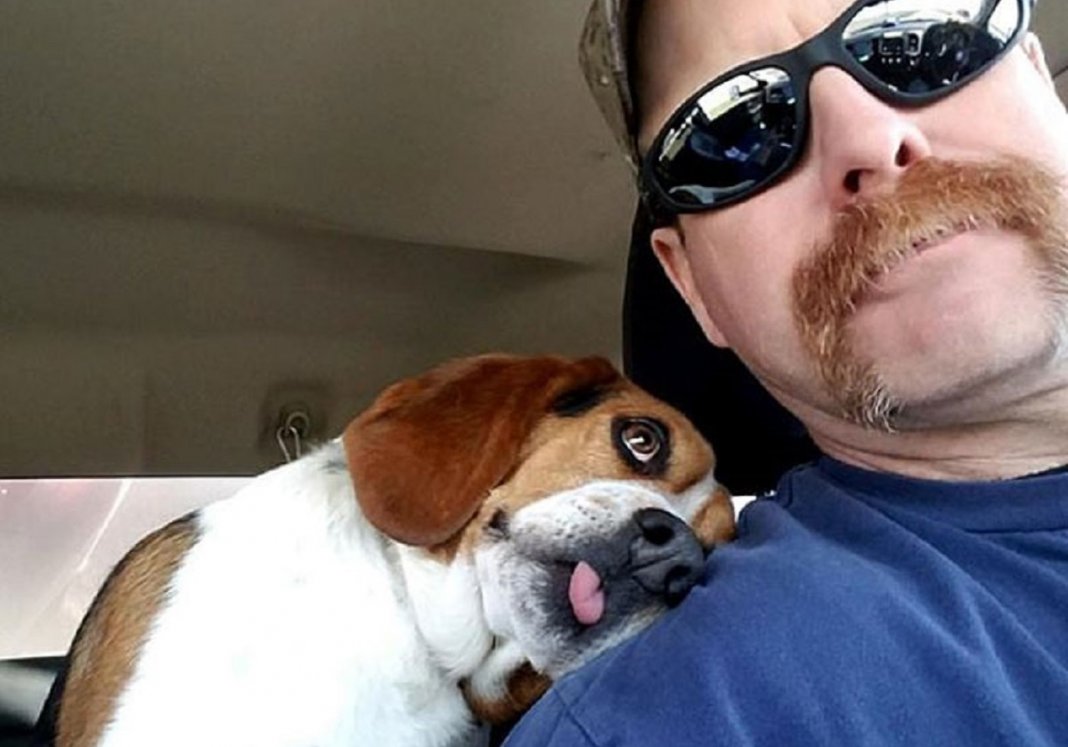 Homem resgata um Beagle de ser sacrificado em um abrigo, o cão não pode conter sua gratidão, abraça seu salvador