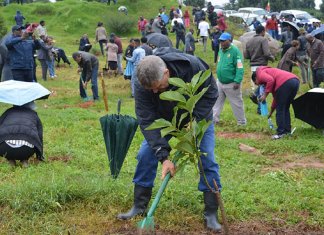 Etiópia quebra recorde mundial plantando 350 milhões de mudas em 12 horas