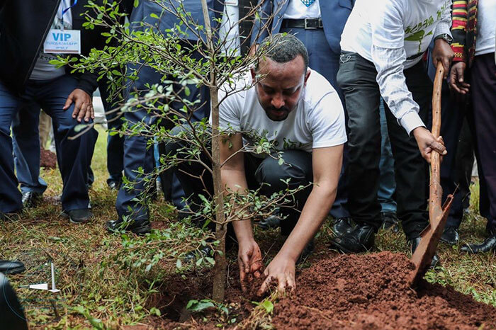 revistacarpediem.com - Etiópia quebra recorde mundial plantando 350 milhões de mudas em 12 horas