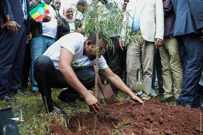 revistacarpediem.com - Etiópia quebra recorde mundial plantando 350 milhões de mudas em 12 horas