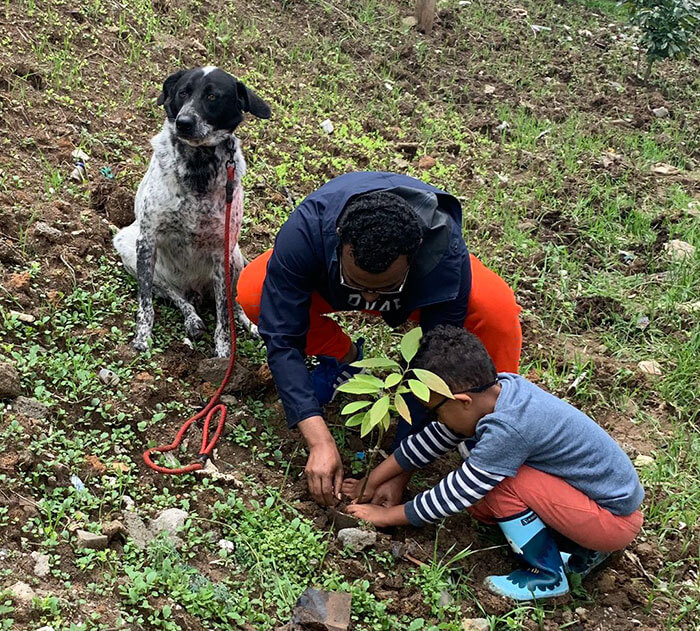 revistacarpediem.com - Etiópia quebra recorde mundial plantando 350 milhões de mudas em 12 horas