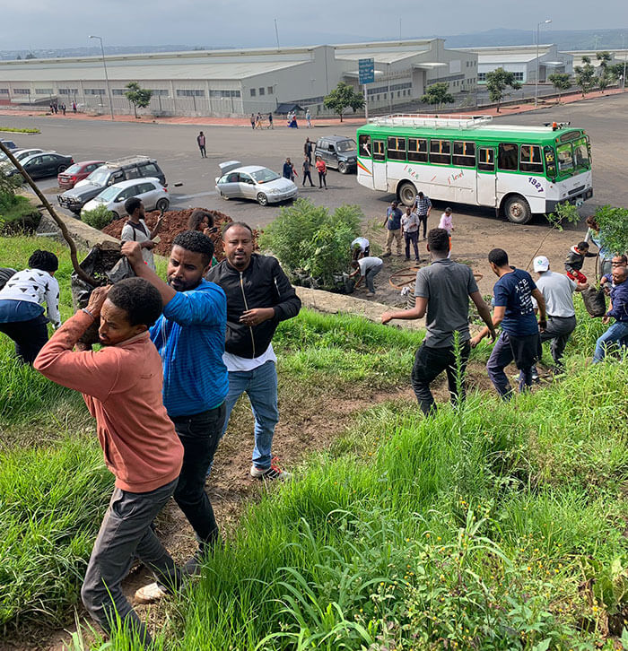 revistacarpediem.com - Etiópia quebra recorde mundial plantando 350 milhões de mudas em 12 horas