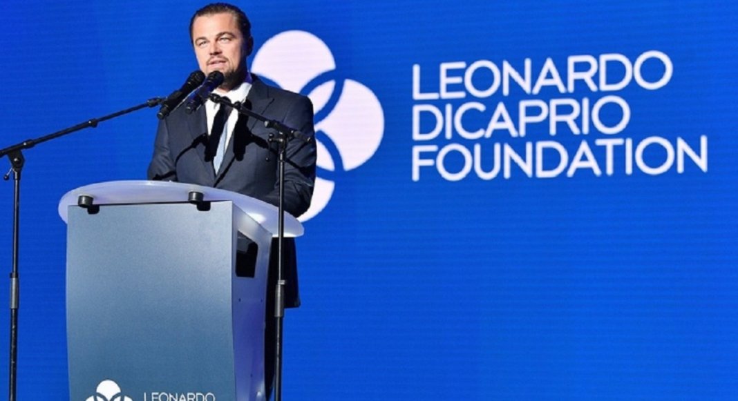 Leonardo Dicaprio doou 100 milhões U$ para parar a caçada e já financiou mais de 200 projetos para proteger o planeta