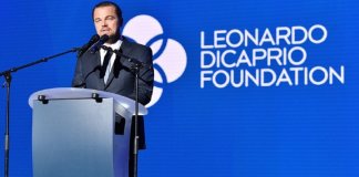 Leonardo Dicaprio doou 100 milhões U$ para parar a caçada e já financiou mais de 200 projetos para proteger o planeta