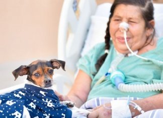 Paciente goiana internada recebe visita surpresa do seu cãozinho com apoio do hospital