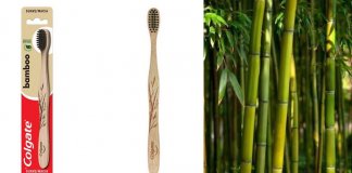 Escova totalmente feita de bambu é o novo lançamento da Colgate