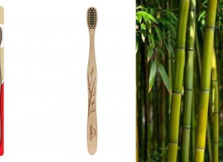 Escova totalmente feita de bambu é o novo lançamento da Colgate