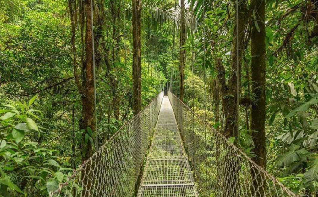 Costa Rica se torna o primeiro país tropical a reverter desmatamento