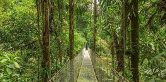 Costa Rica se torna o primeiro país tropical a reverter desmatamento