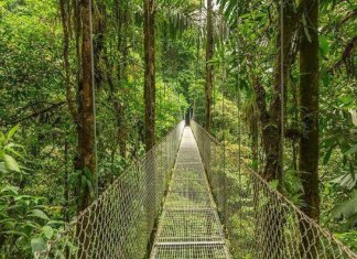 Costa Rica se torna o primeiro país tropical a reverter desmatamento