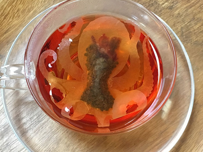 polvoxic2 - Empresa cria saquinhos de chá de criatura do mar que “ganham vida” dentro da sua xícara