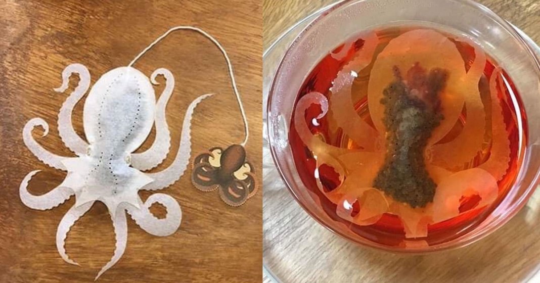 Empresa cria saquinhos de chá de criatura do mar que “ganham vida” dentro da sua xícara