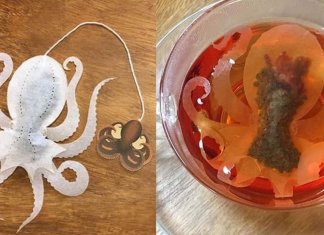 Empresa cria saquinhos de chá de criatura do mar que “ganham vida” dentro da sua xícara