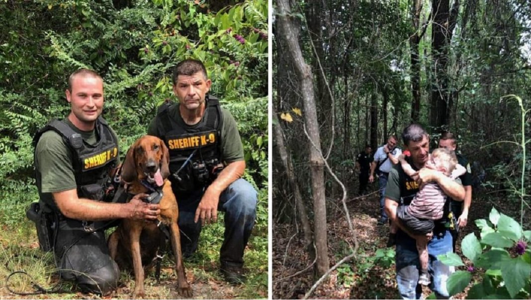 Cão encontra criança autista de 3 anos desaparecida na floresta