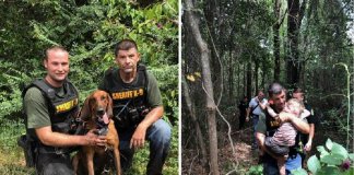 Cão encontra criança autista de 3 anos desaparecida na floresta