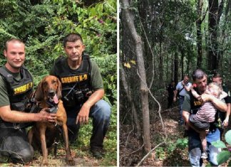 Cão encontra criança autista de 3 anos desaparecida na floresta
