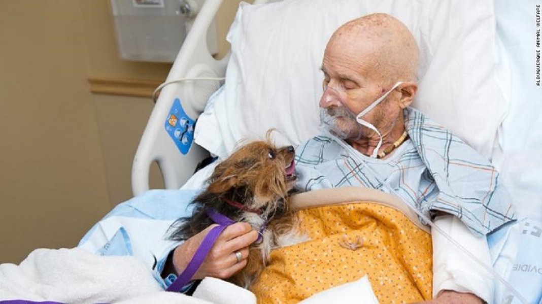 Veterano do Vietnam em cuidados paliativos consegue realizar seu último desejo antes de morrer, ver seu amado cachorro