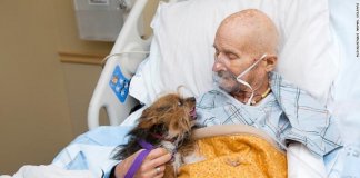 Veterano do Vietnam em cuidados paliativos consegue realizar seu último desejo antes de morrer, ver seu amado cachorro