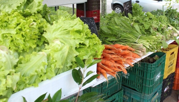 revistacarpediem.com - Está na lei! Florianópolis é a primeira cidade brasileira a banir agrotóxicos das lavouras