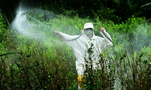 revistacarpediem.com - Está na lei! Florianópolis é a primeira cidade brasileira a banir agrotóxicos das lavouras