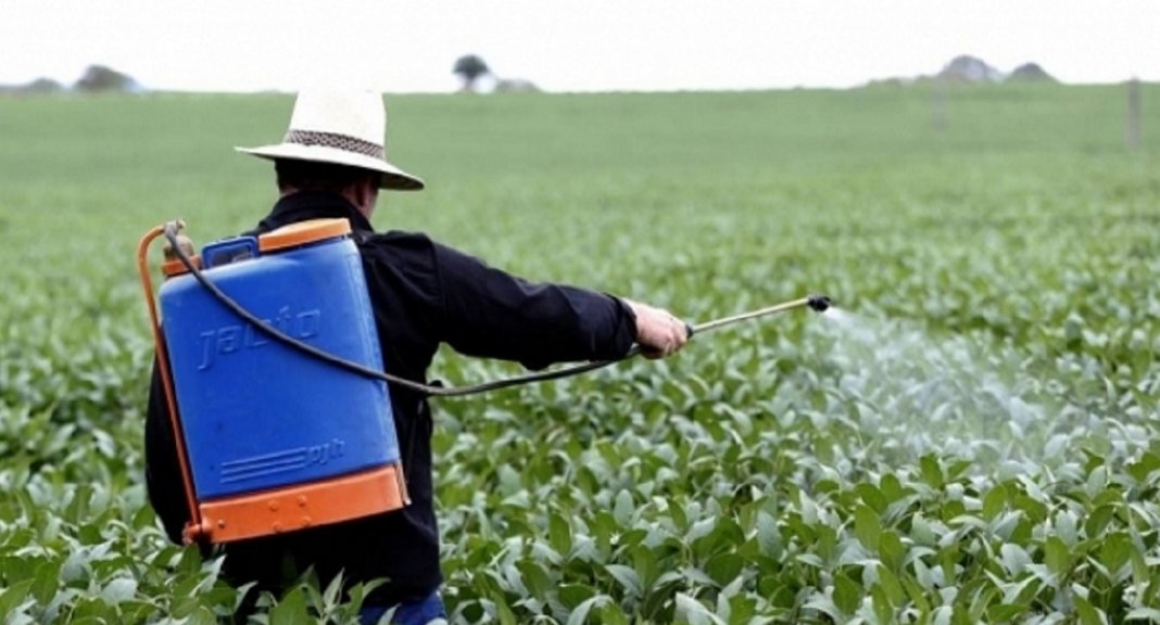 Está na lei! Florianópolis é a primeira cidade brasileira a banir agrotóxicos das lavouras