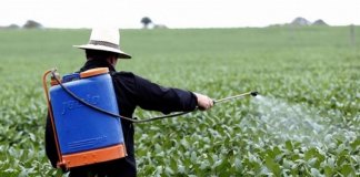 Está na lei! Florianópolis é a primeira cidade brasileira a banir agrotóxicos das lavouras