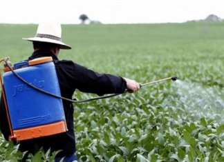 Está na lei! Florianópolis é a primeira cidade brasileira a banir agrotóxicos das lavouras