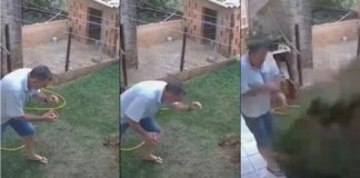 Homem explode quintal ao tentar matar baratas com veneno, gasolina e fogo