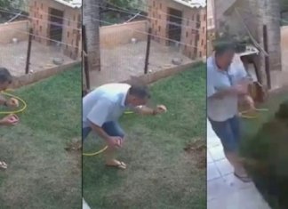 Homem explode quintal ao tentar matar baratas com veneno, gasolina e fogo