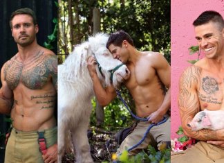 Bombeiros posam com animais para calendário de caridades e fotos são tão quentes que causam incêndios