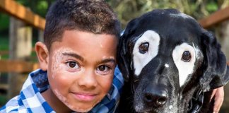 Conheça Carter, o menino com vitiligo que começou a se aceitar ao conhecer um cão como ele