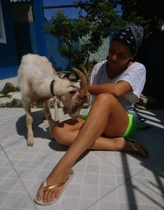 revistacarpediem.com - Mulher tem casa invadida por bode que seria sacrificado e ‘adota’ o animal