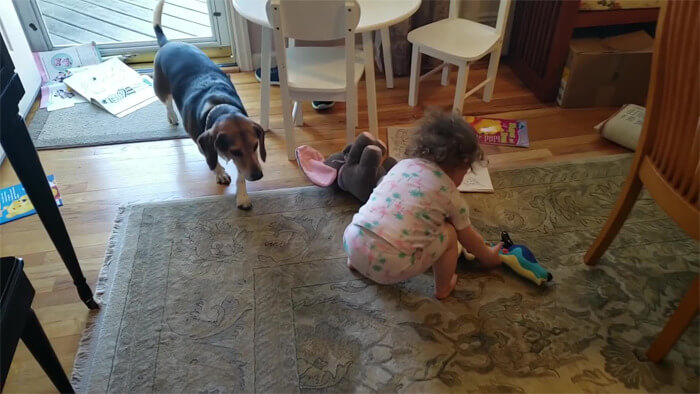 revistacarpediem.com - Pai grava vídeo sem querer da filha dançando enquanto seu cãozinho toca piano