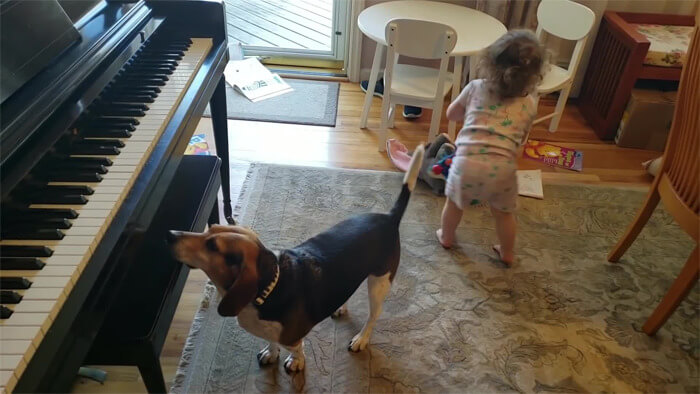 revistacarpediem.com - Pai grava vídeo sem querer da filha dançando enquanto seu cãozinho toca piano