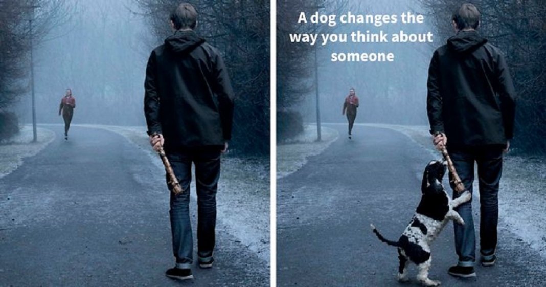 Campanha publicitária mostra como um cãozinho pode transformar a vida de uma pessoa