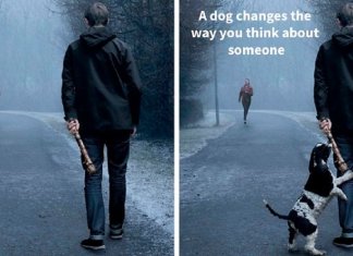 Campanha publicitária mostra como um cãozinho pode transformar a vida de uma pessoa