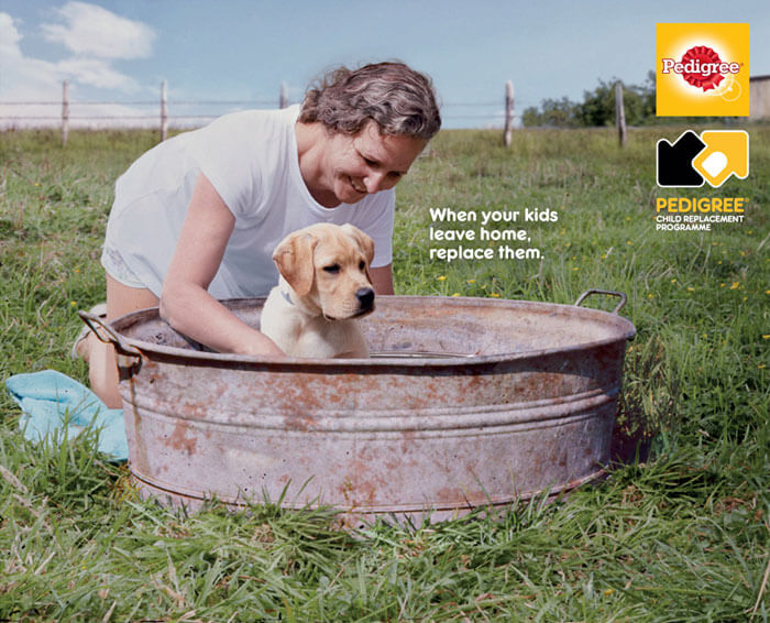 revistacarpediem.com - Campanha publicitária mostra como um cãozinho pode transformar a vida de uma pessoa