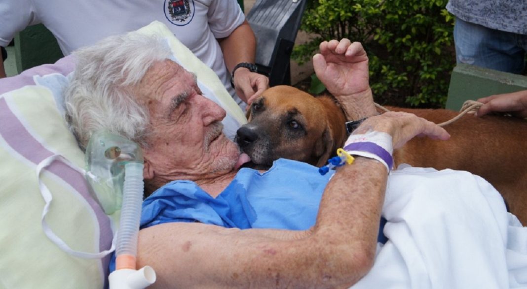 Idoso internado que chorava de saudade de seu cão no hospital recebe visita do animalzinho