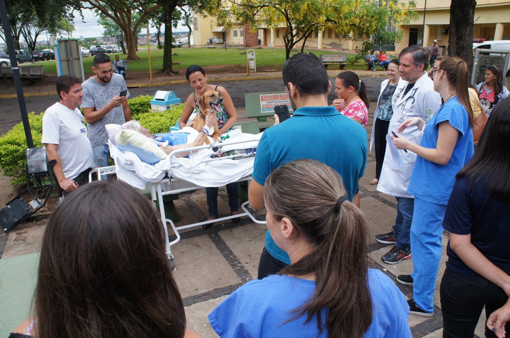 revistacarpediem.com - Idoso internado que chorava de saudade de seu cão no hospital recebe visita do animalzinho