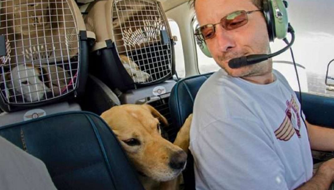 Ex-soldado compra avião para salvar cães e gatos da eutanásia